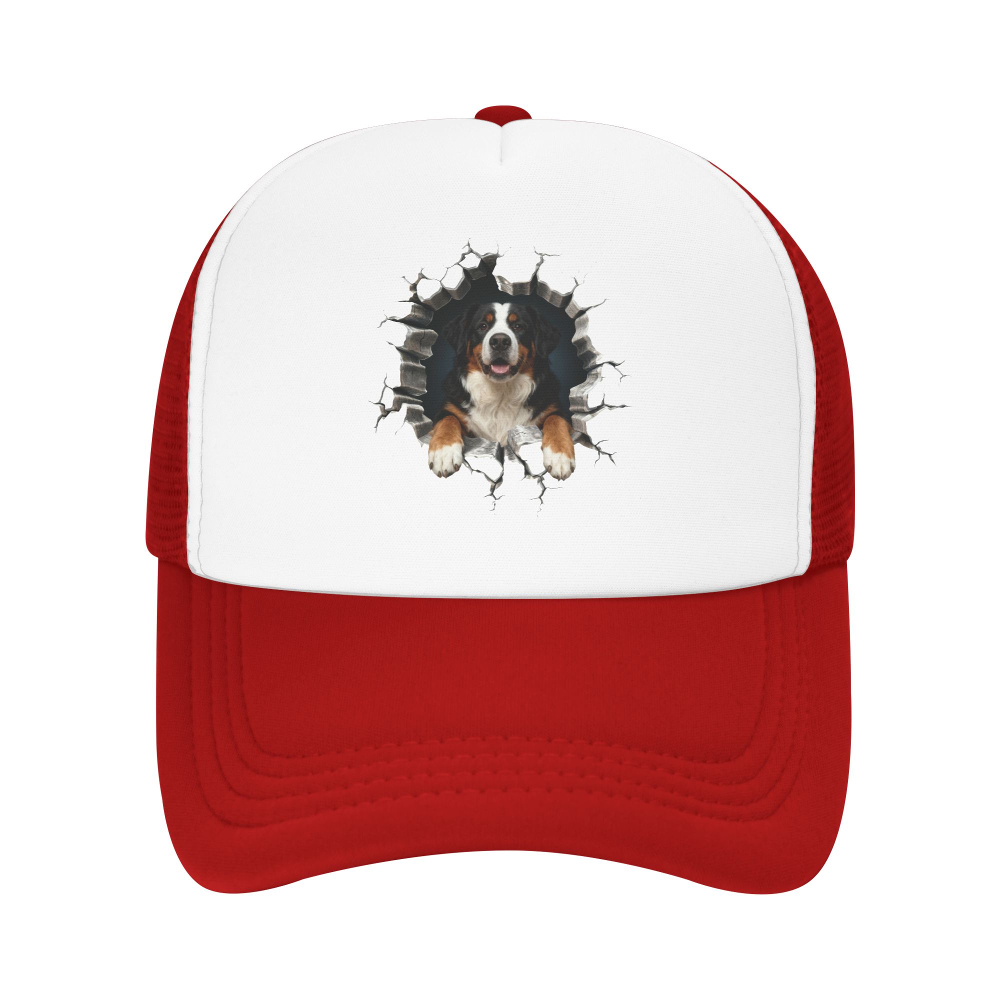 Breaking Through Bernese Mount - đánh giá và giá Trucker Hat Cap