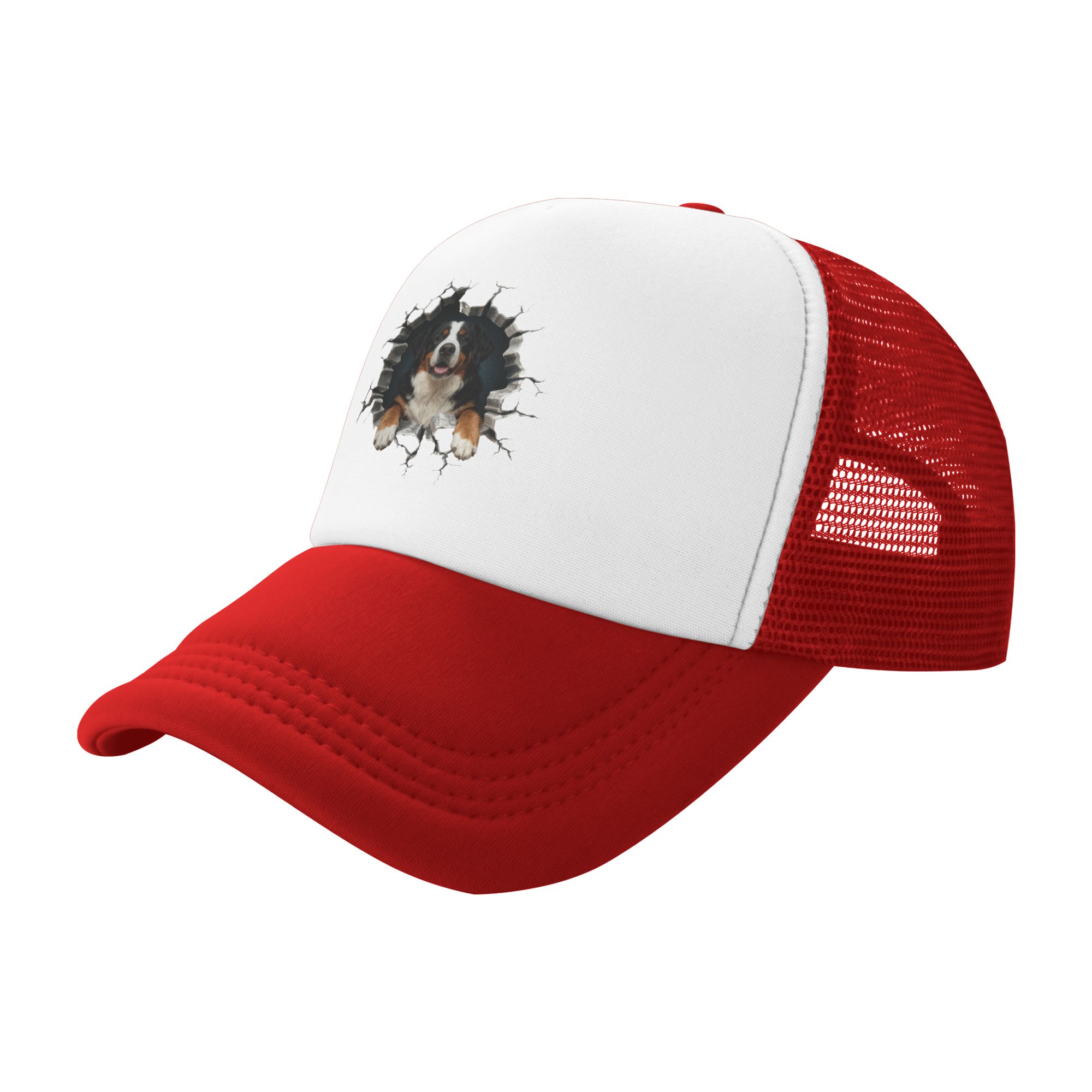 Breaking Through Bernese Mount - đánh giá và giá Trucker Hat Cap